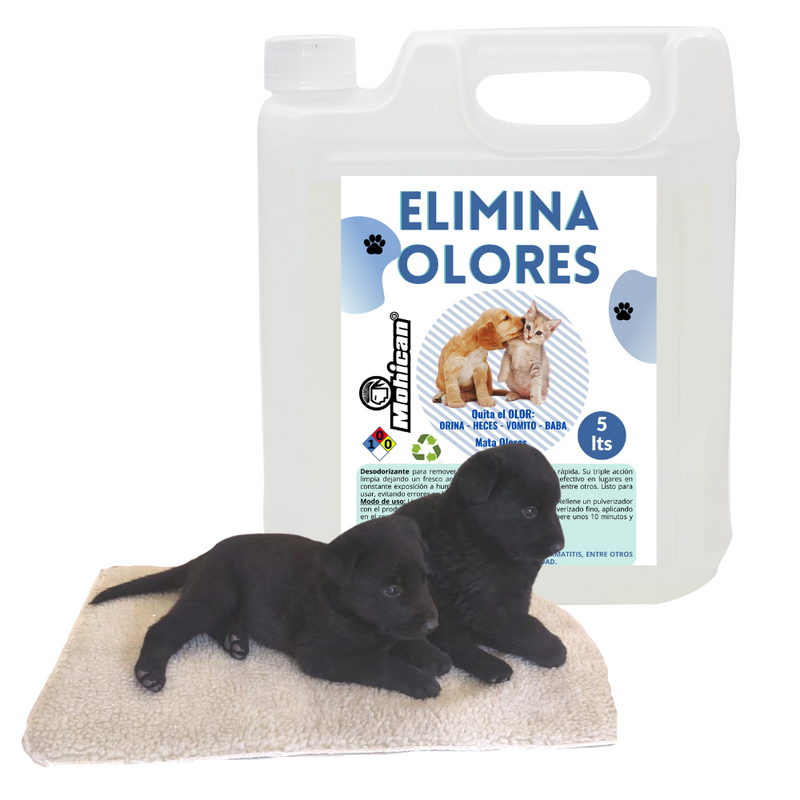 PROMO ELIMINADOR Y DESTRUCTOR OLORES + MANTA PERRO CHIPORRO