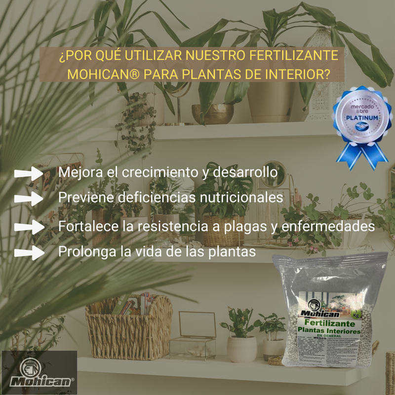 PROMO 5X FERTILIZANTE PLANTAS INTERIORES BOLSA 1 KG MOHICAN