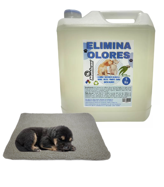 PROMO ELIMINA OLORES ORINA Y HECES EUCALIPTO 5LT + MANTA